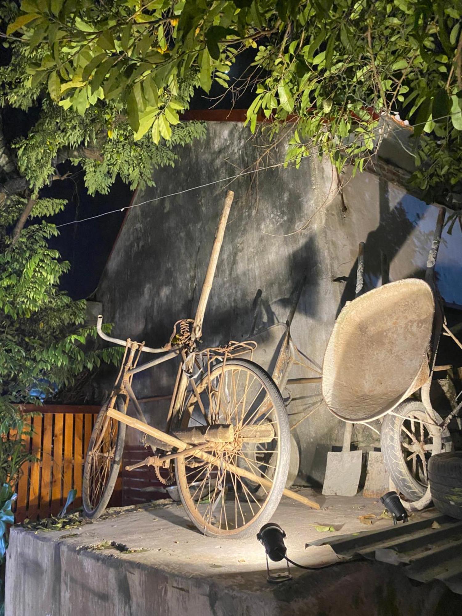 נין בין Ohayo Tam Coc Homestay מראה חיצוני תמונה