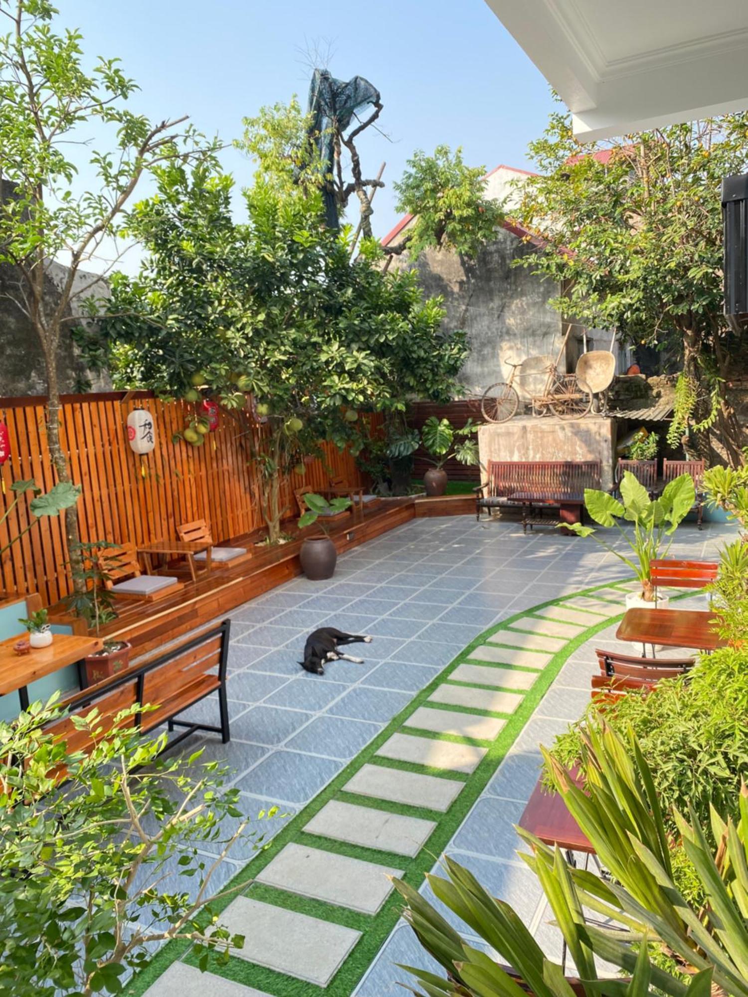 נין בין Ohayo Tam Coc Homestay מראה חיצוני תמונה