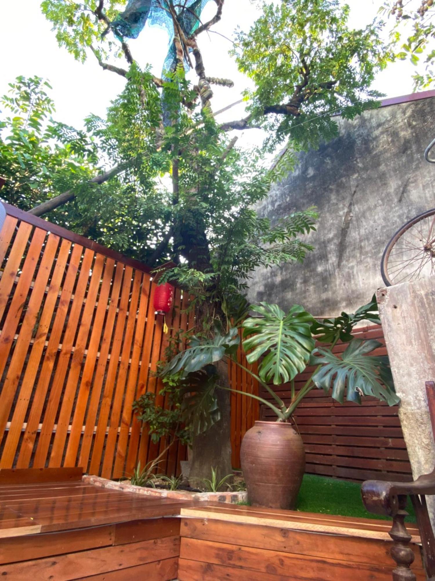 נין בין Ohayo Tam Coc Homestay מראה חיצוני תמונה