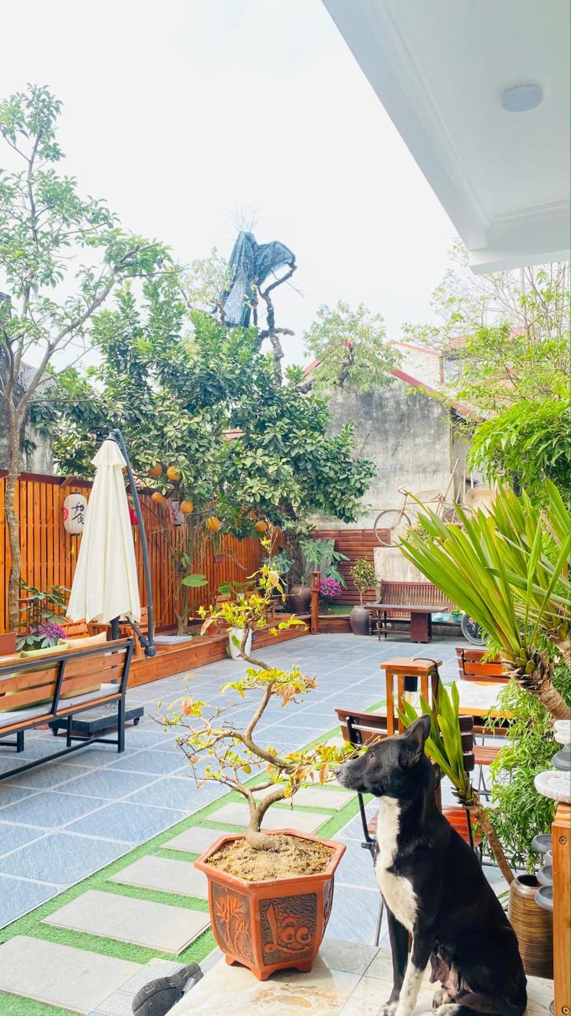 נין בין Ohayo Tam Coc Homestay מראה חיצוני תמונה